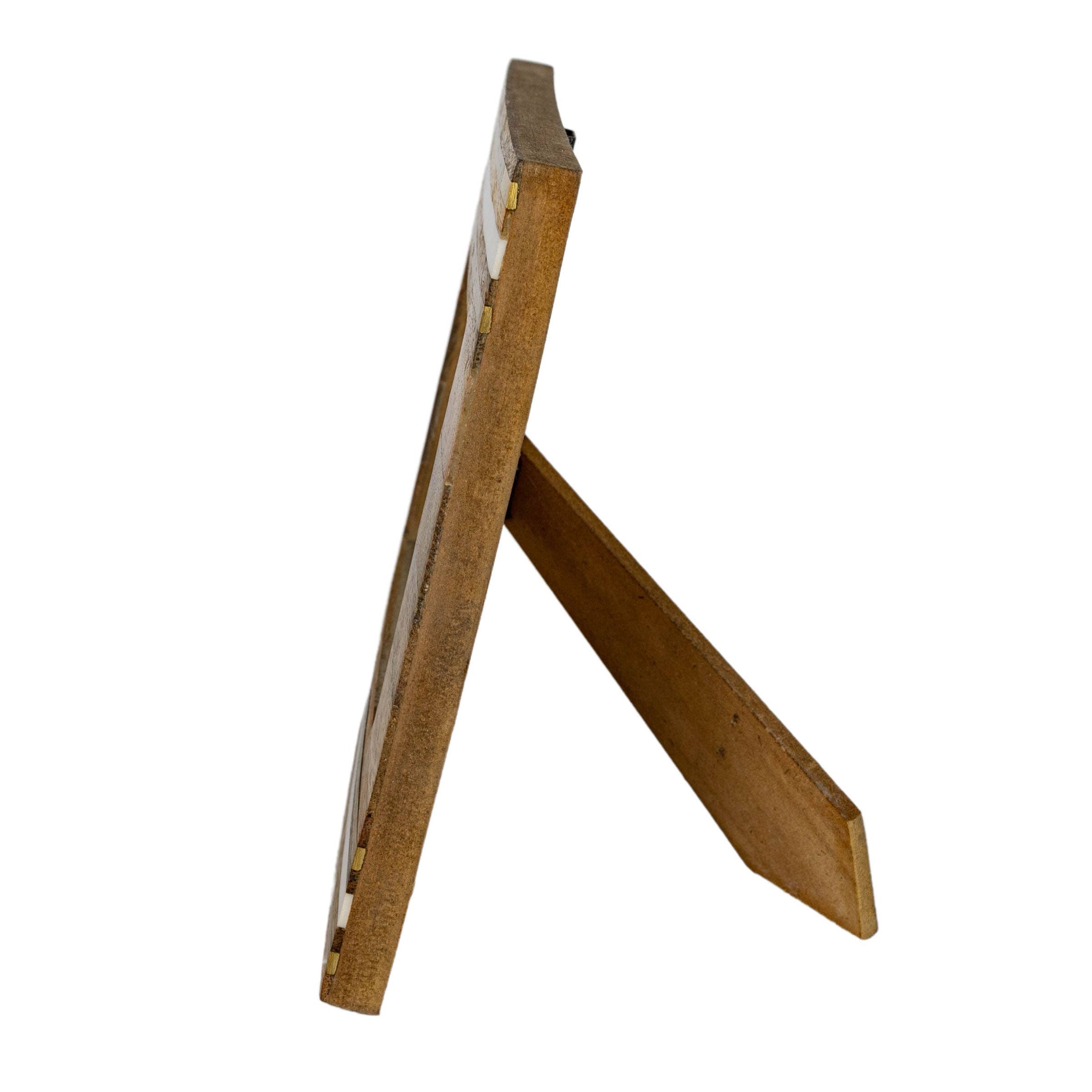 4x6 Leo Photo Frame    decor Foreside Home & Garden- Tilden Co.