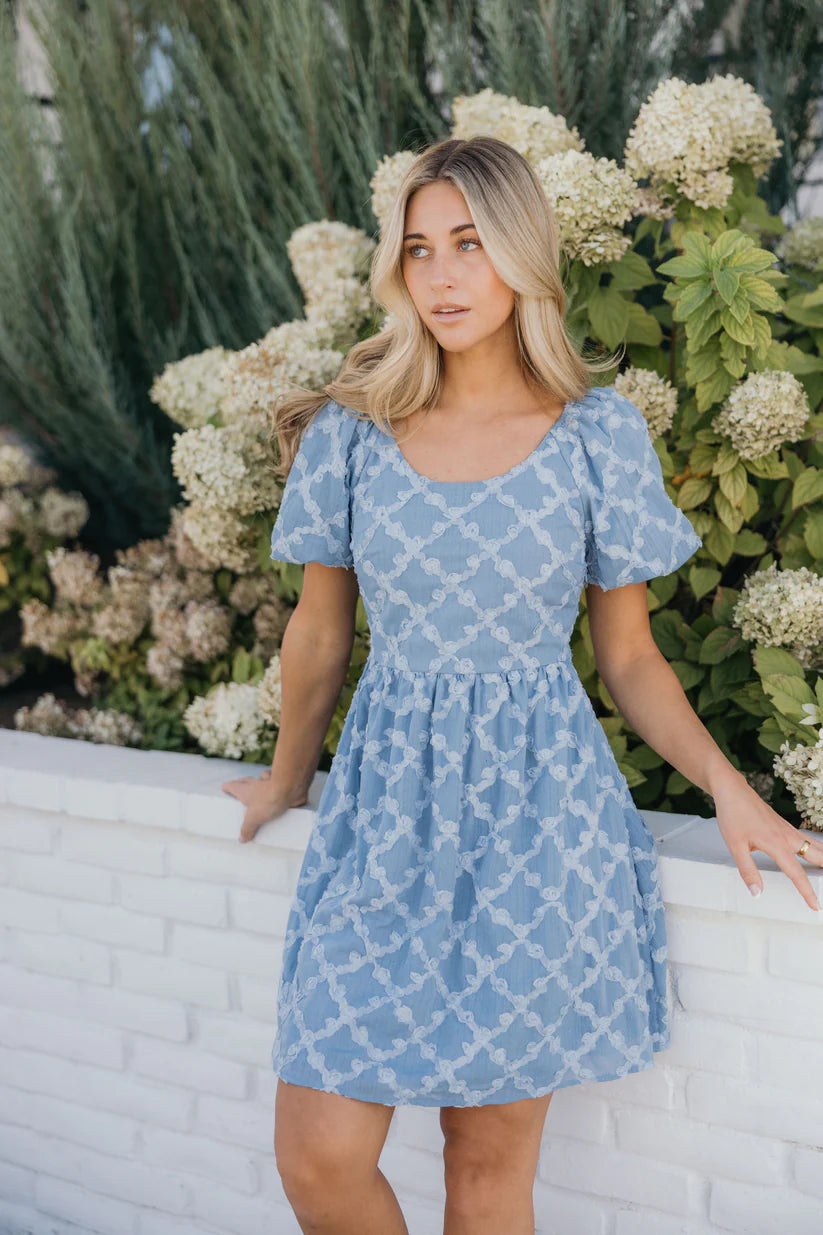 Selma Dress in Stonewashed Blue Dress Mikarose- Tilden Co.