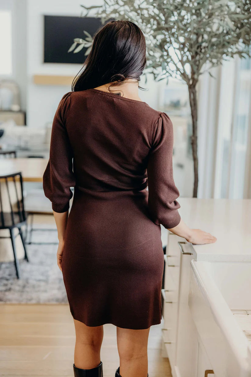 The Jodi Dress in Walnut Shirts & Tops Mikarose- Tilden Co.