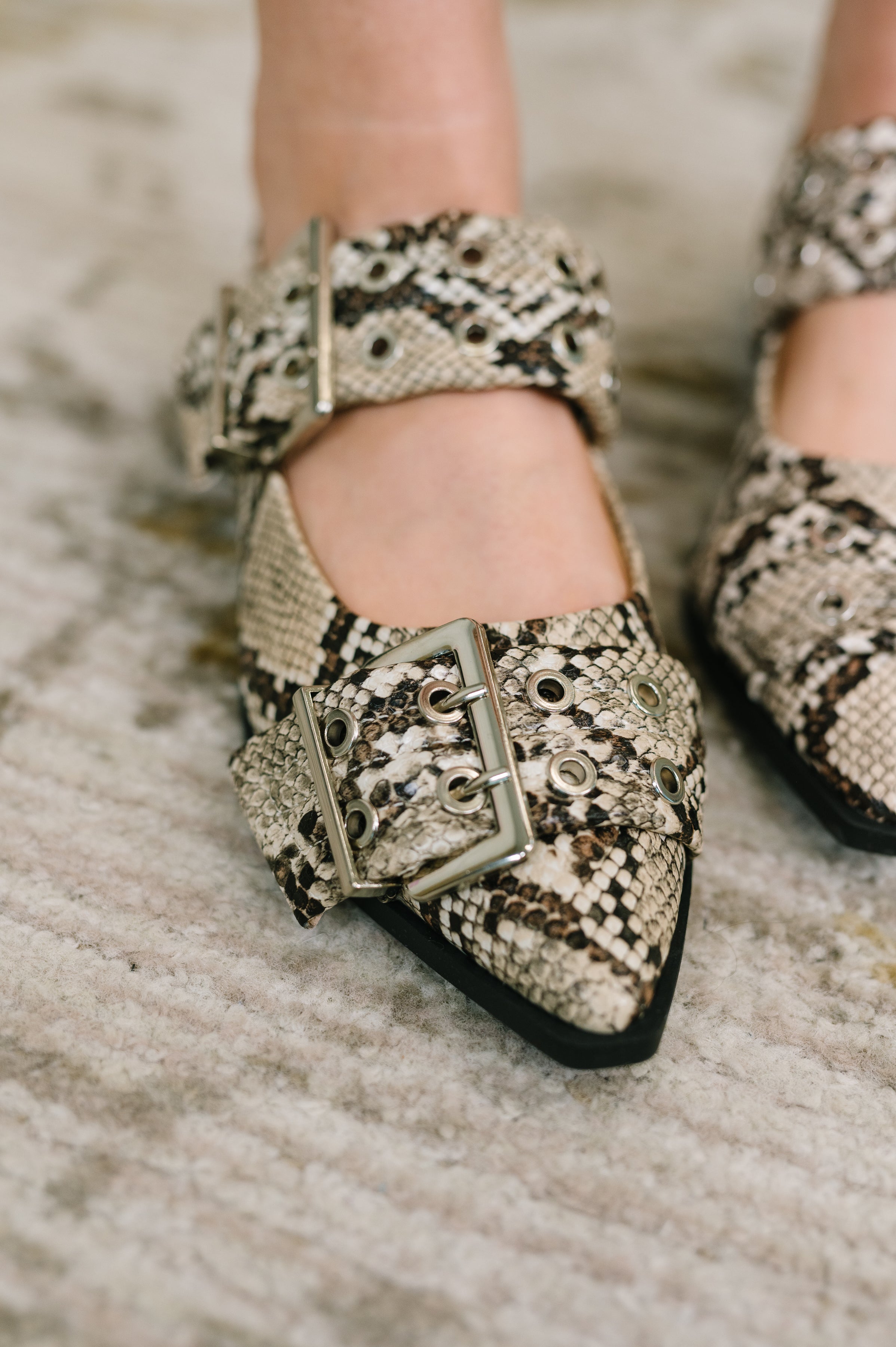 Crazy Train Buckle Pointy Toe Flats in Snakeskin Womens Ave Shops- Tilden Co.