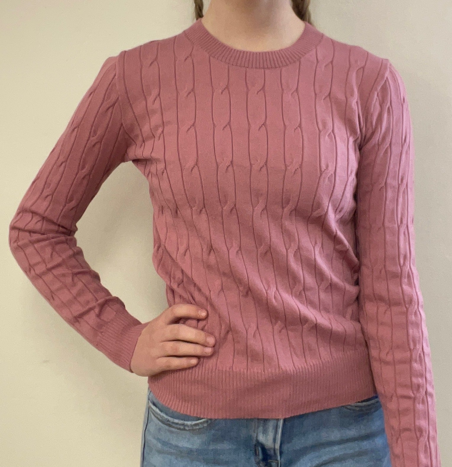 Long Sleeve Round Neck Cable Sweater Sweater Active Basic- Tilden Co.