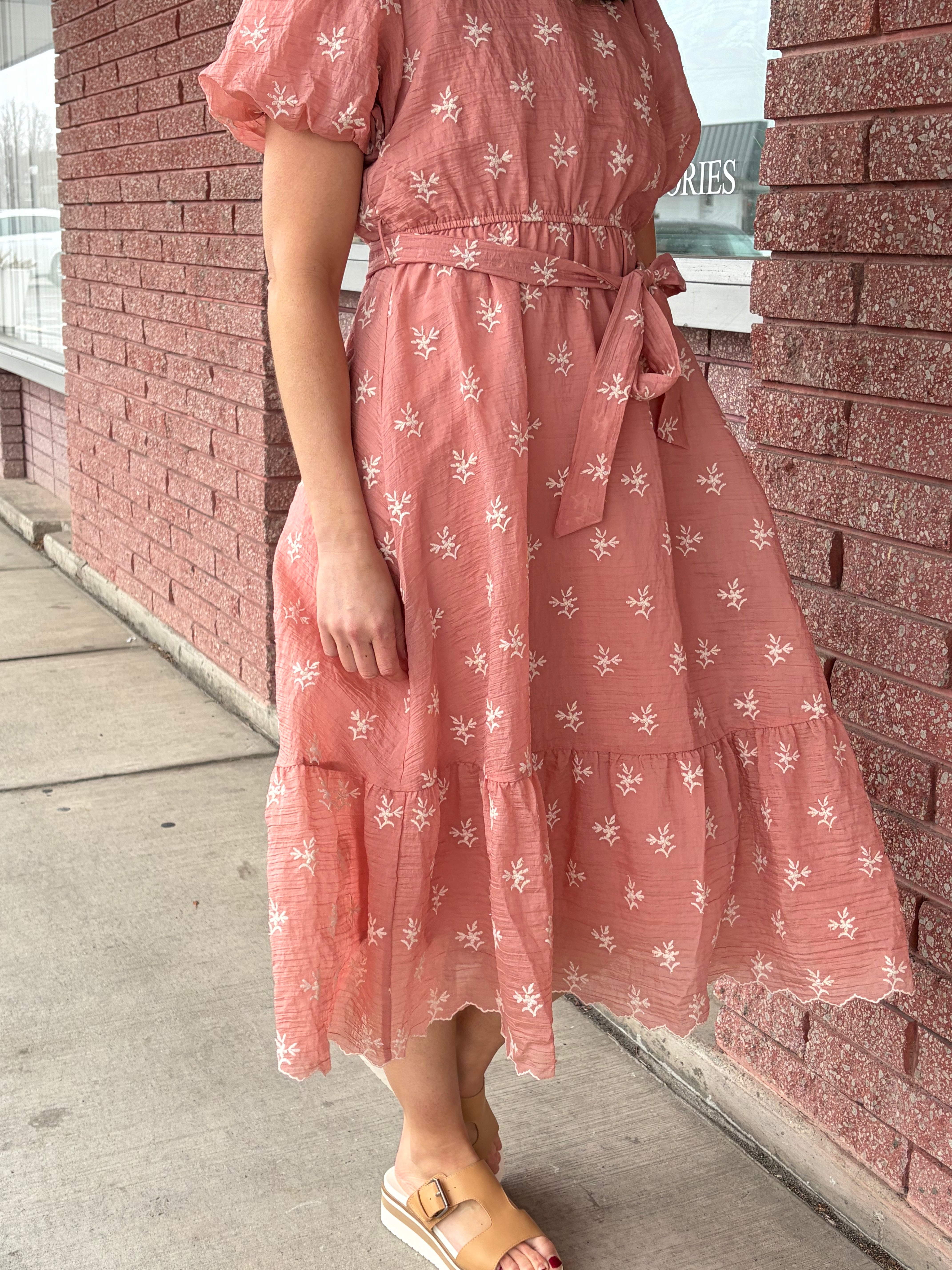 Blush Embroidered Chiffon Dress Midi Dress Tea n Rose- Tilden Co.
