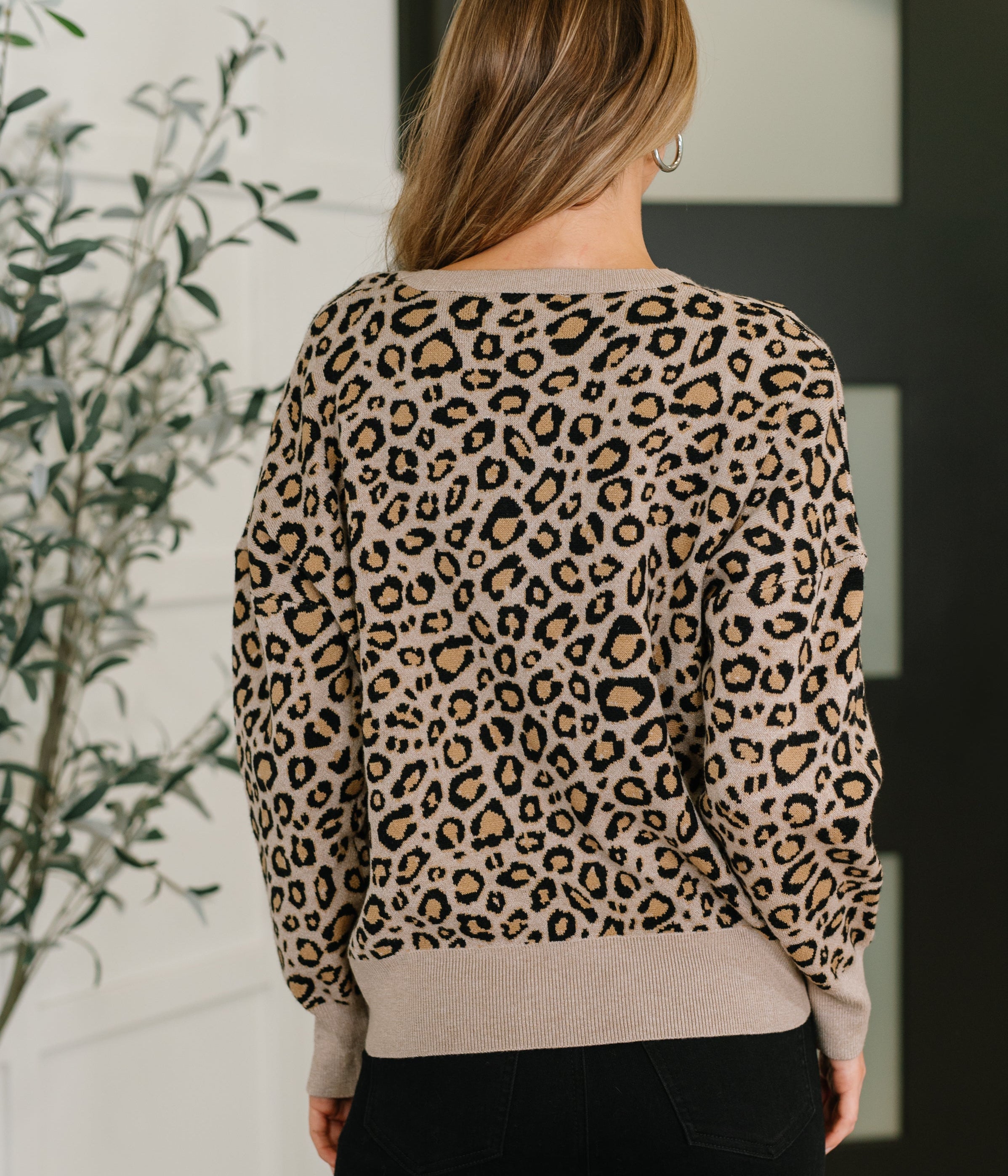 Lil' Sass Never Hurt Leopard Print Pullover Womens Ave Shops- Tilden Co.
