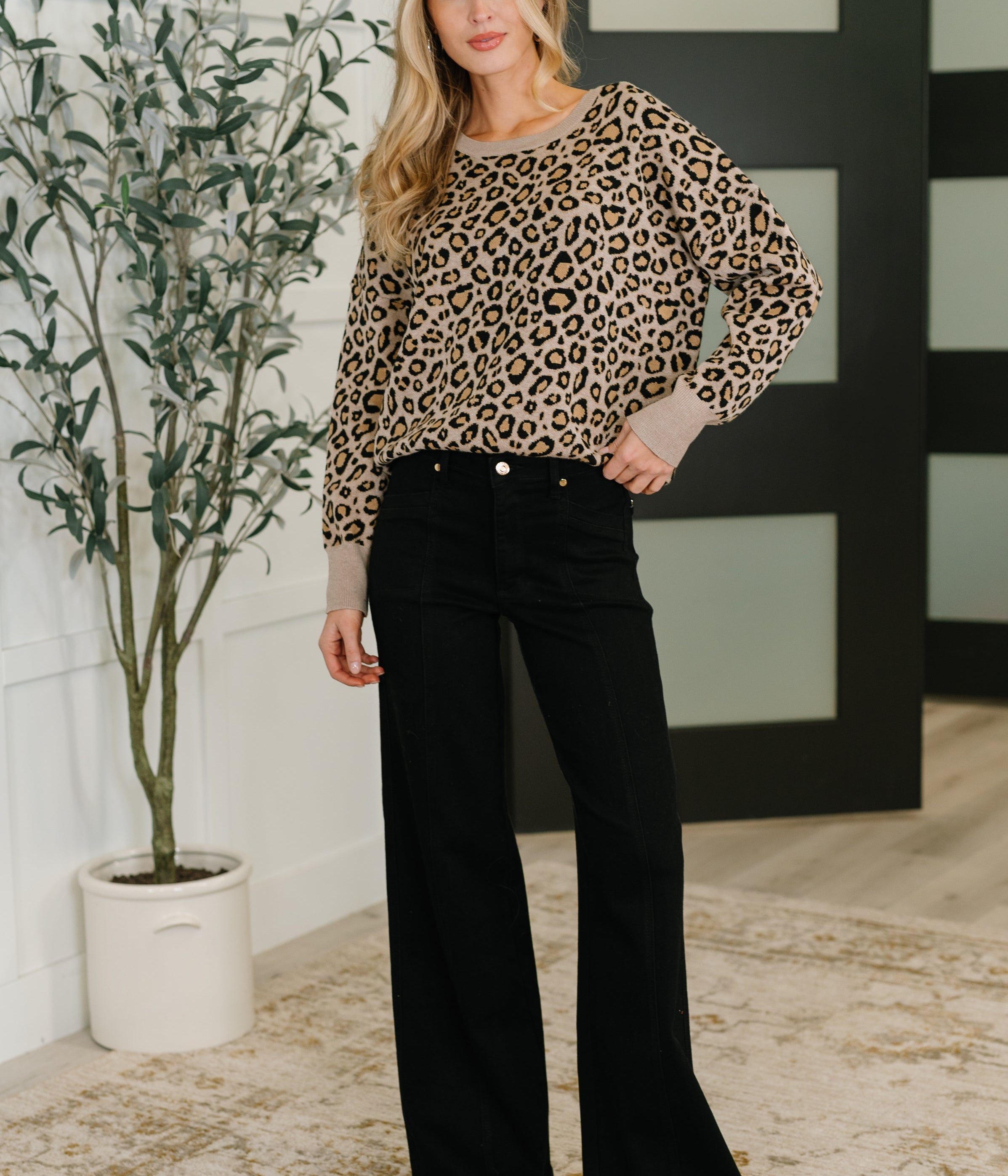 Lil' Sass Never Hurt Leopard Print Pullover Womens Ave Shops- Tilden Co.