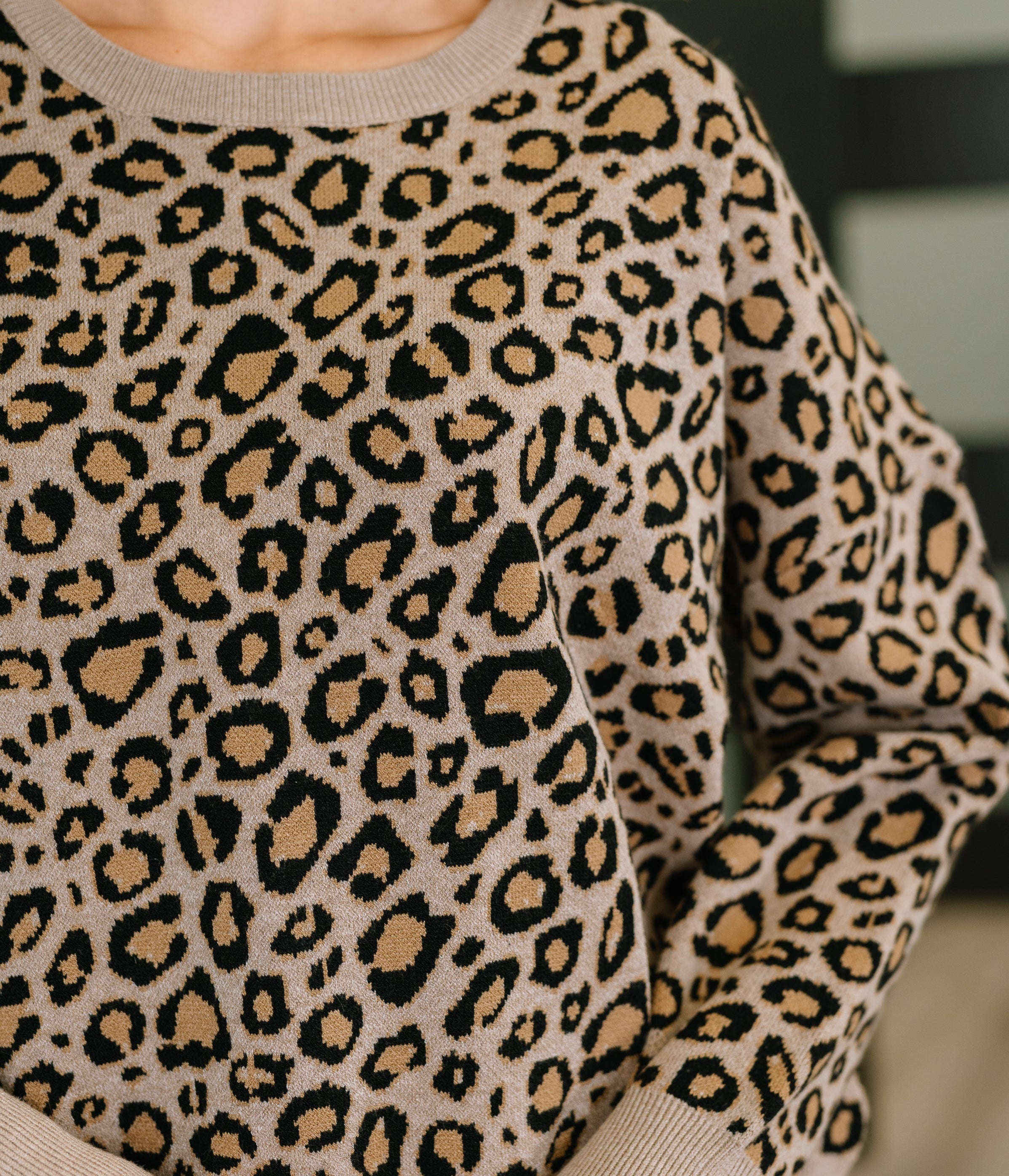 Lil' Sass Never Hurt Leopard Print Pullover Womens Ave Shops- Tilden Co.