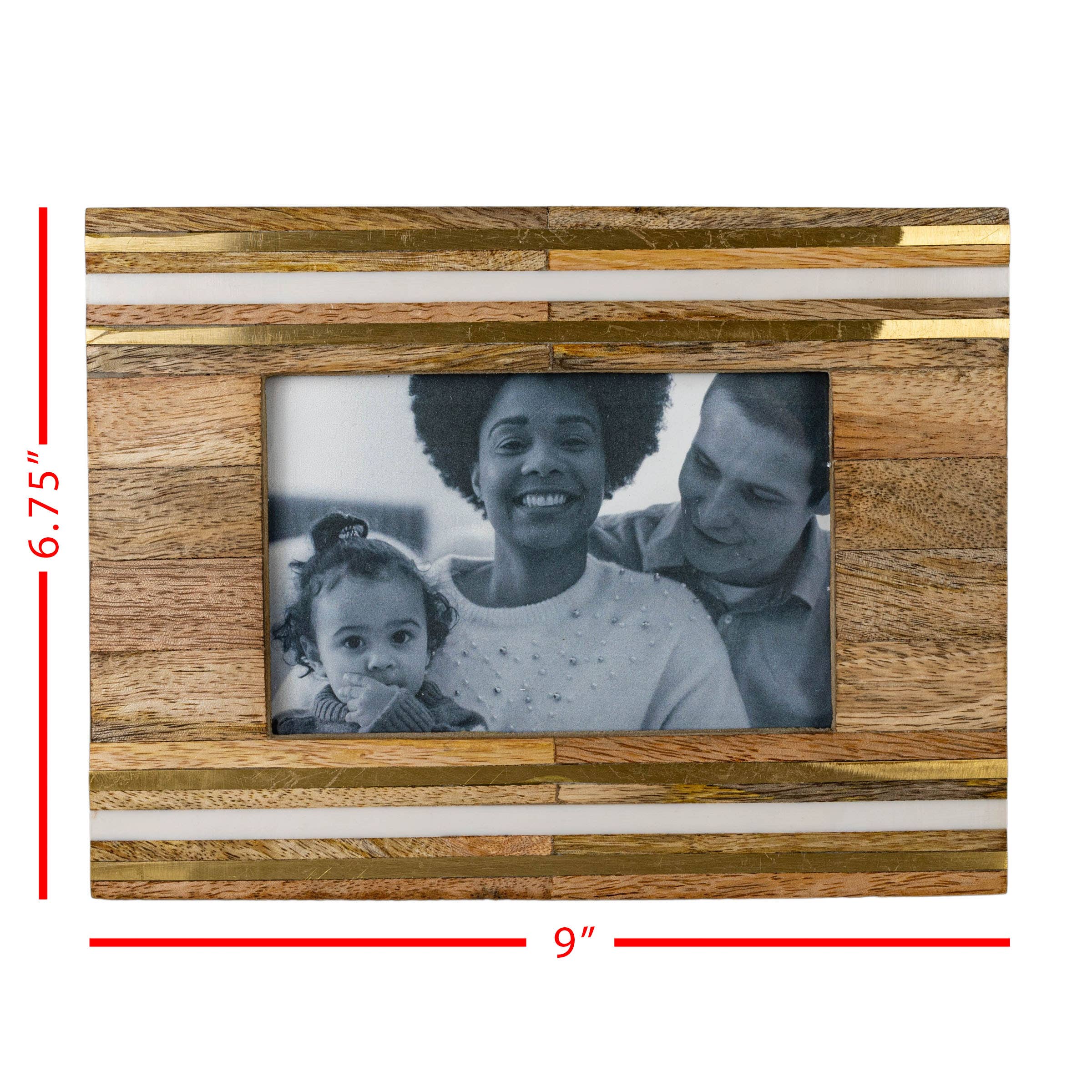 4x6 Leo Photo Frame    decor Foreside Home & Garden- Tilden Co.