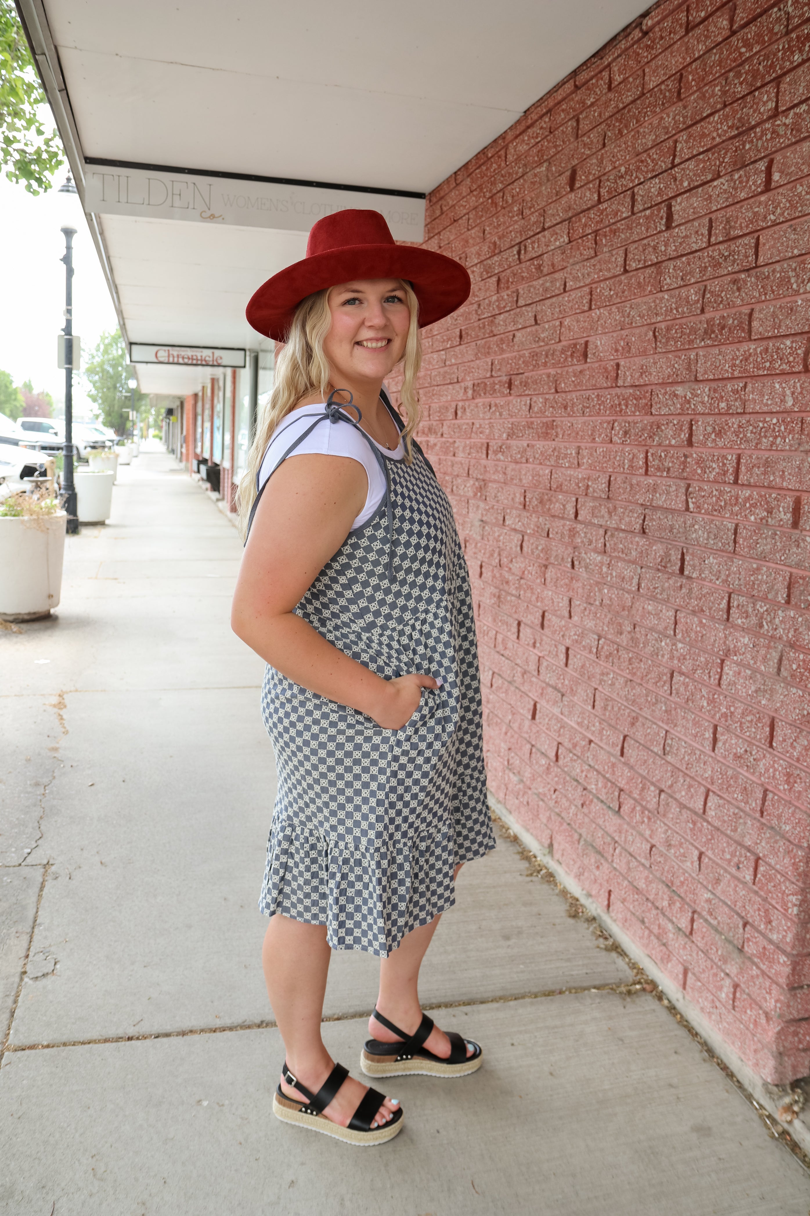 Leon Dress in Denim Checkered Dress Mikarose- Tilden Co.