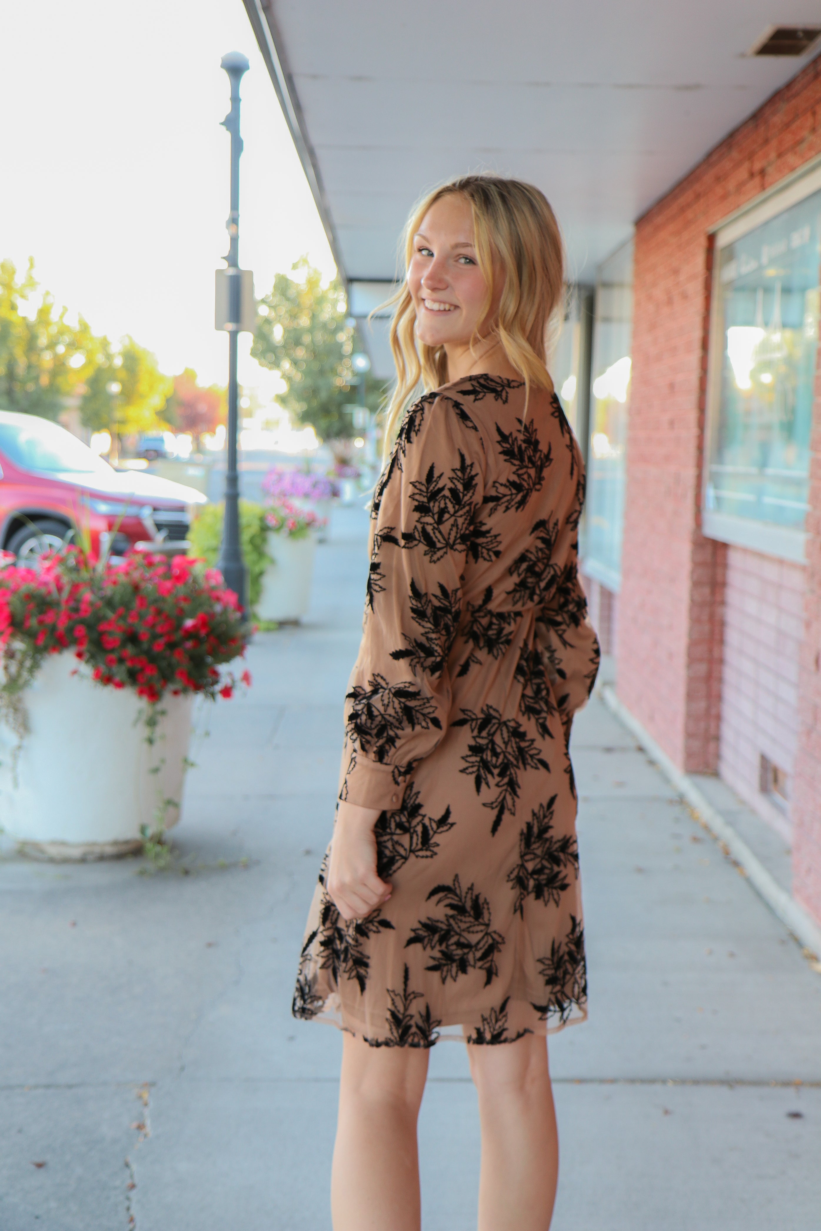 The Monroe Dress in Vines Divine    Knee Length Dress Mikarose- Tilden Co.