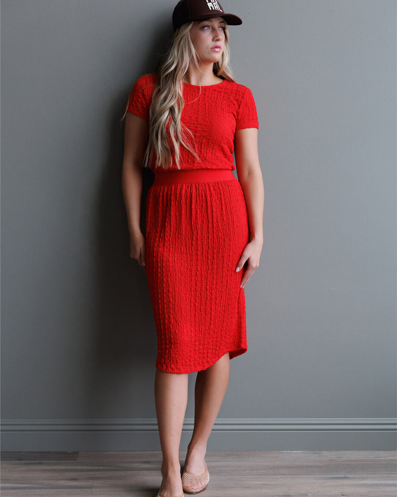 Popcorn Smocked Skirt Skirts Downeast- Tilden Co.