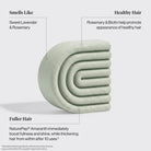 Rosemary & Biotin Volumizing Conditioner Bar KITSCH- Tilden Co.