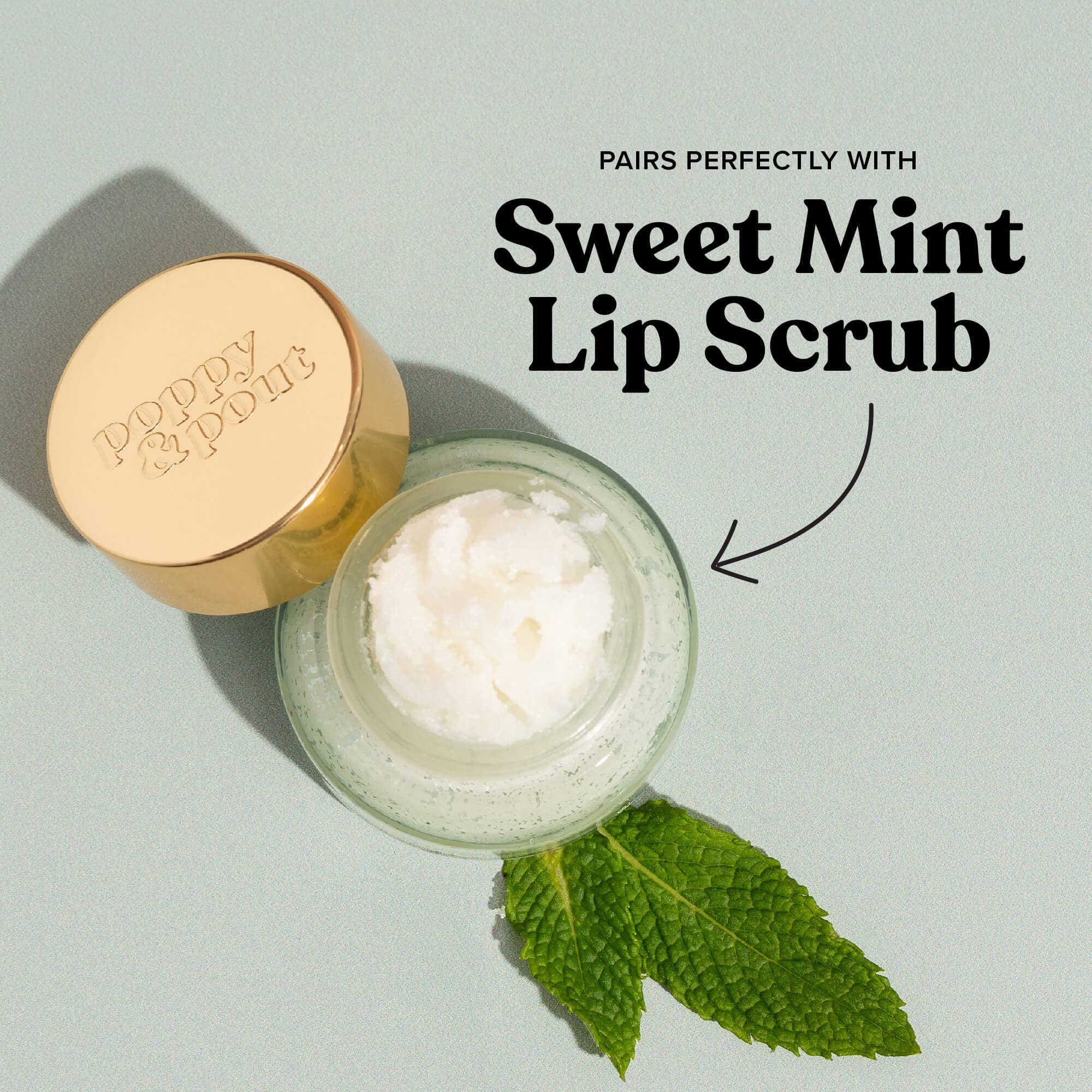 Lip Balm, Sweet Mint    lip balm Poppy & Pout- Tilden Co.