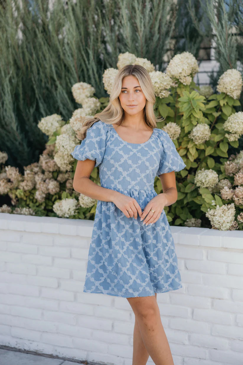 Selma Dress in Stonewashed Blue Dress Mikarose- Tilden Co.