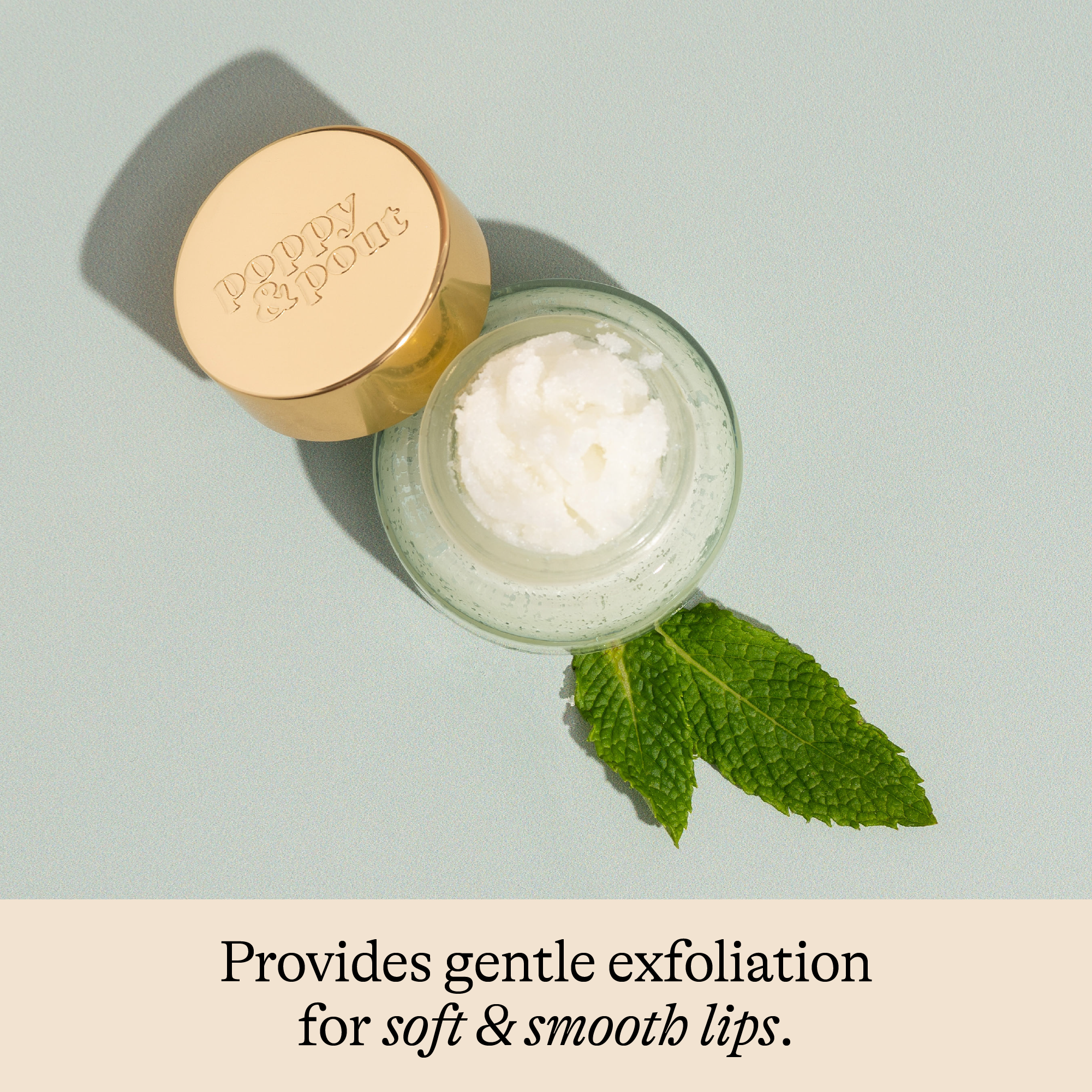 Lip Scrub, Sweet Mint Poppy & Pout- Tilden Co.