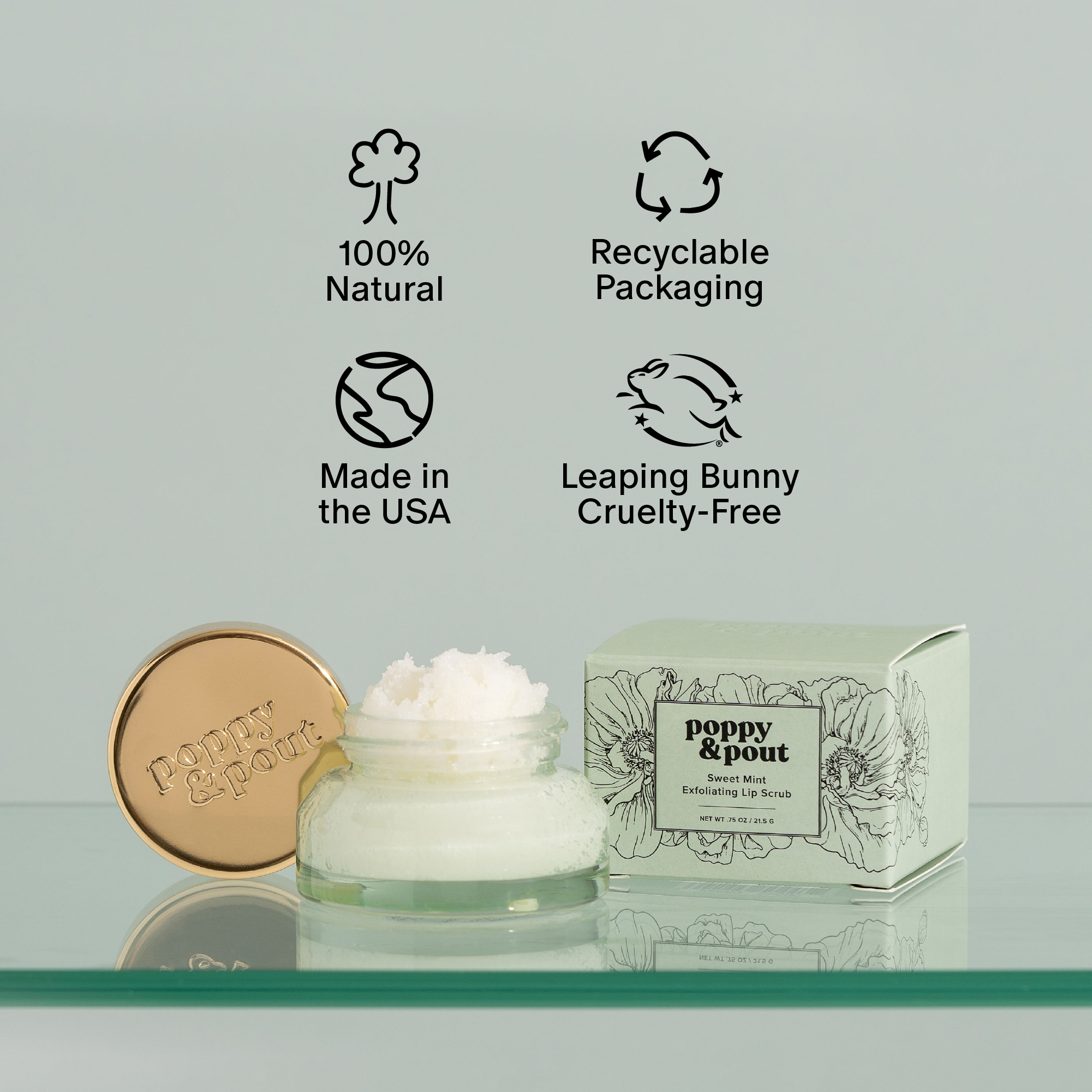 Lip Scrub, Sweet Mint Poppy & Pout- Tilden Co.