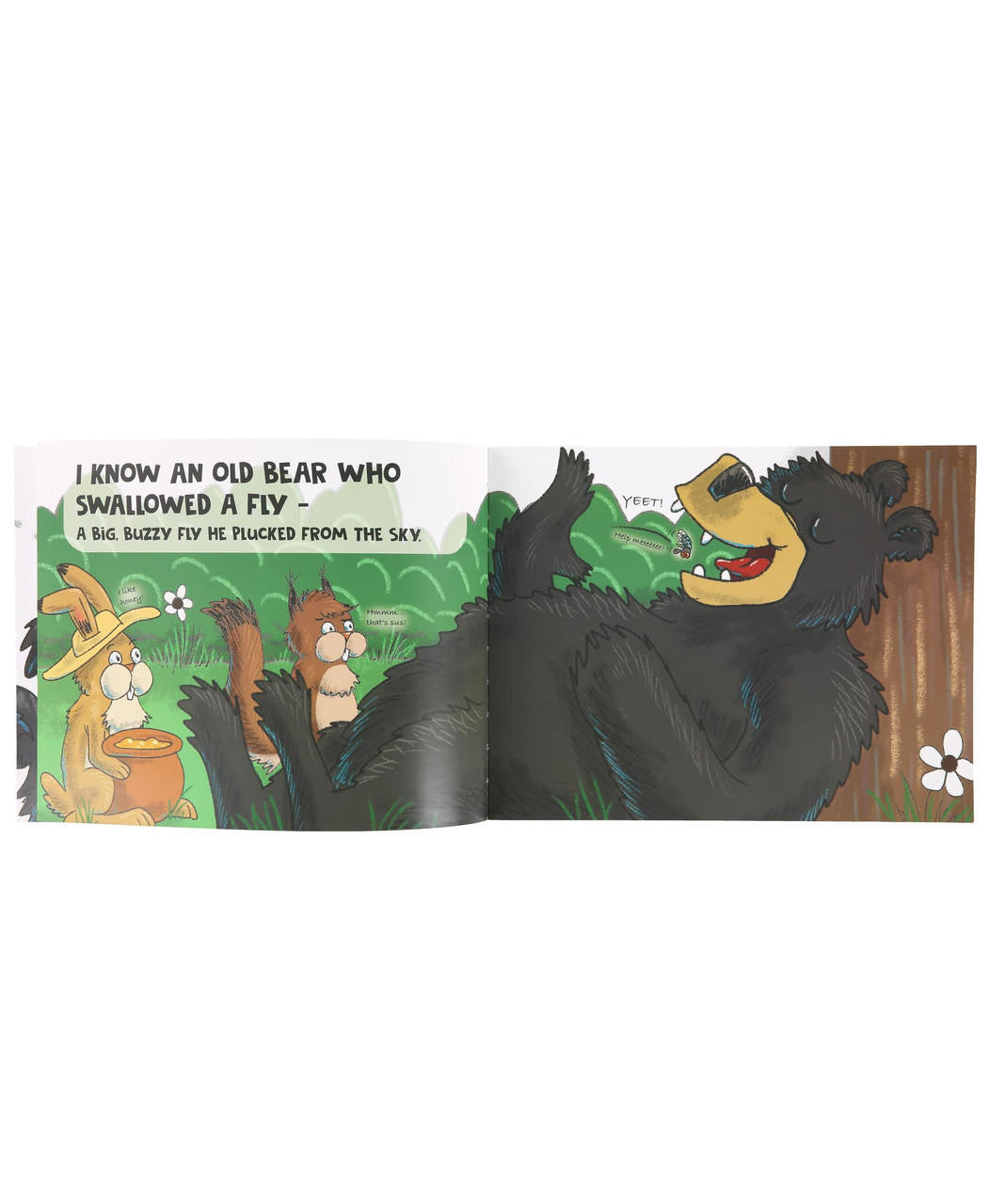 Old Bear Who Swallowed a Fly Book book LazyOne- Tilden Co.