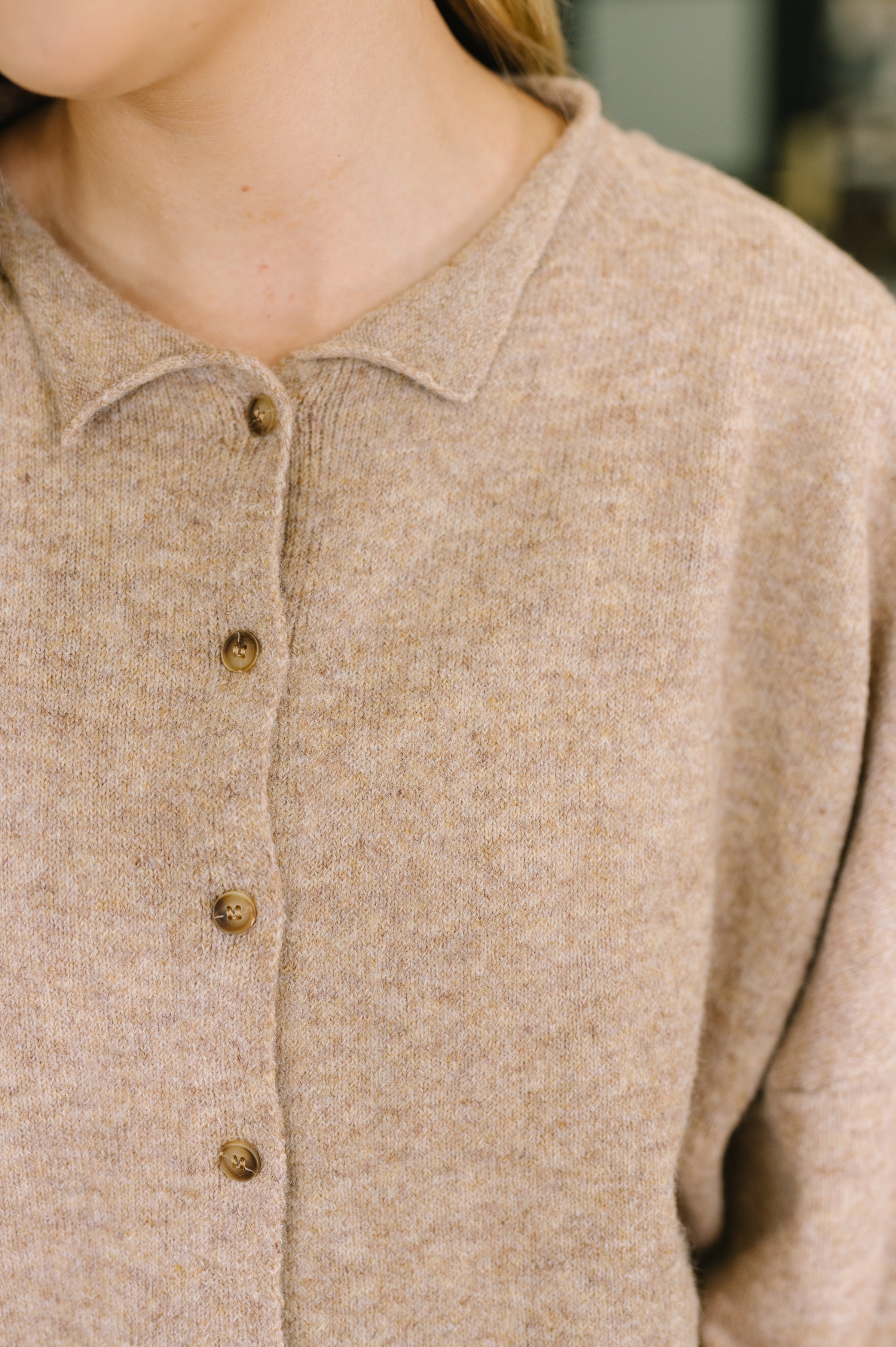 Careful Consideration Collared Button Down in Mocha Womens Ave Shops- Tilden Co.