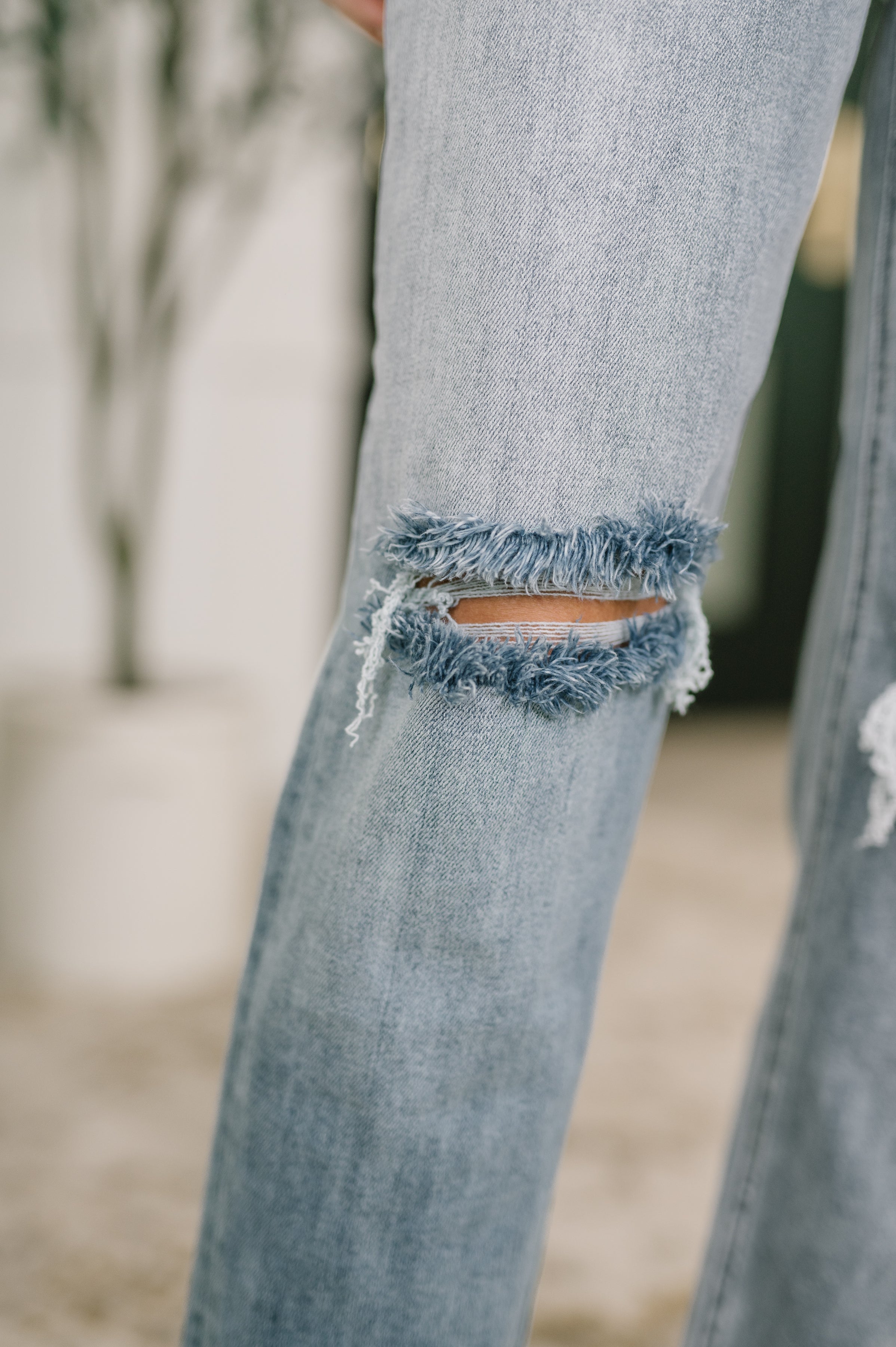 Elaine Mid Rise Boyfriend with Distress & Cuff Jeans Ave Shops- Tilden Co.