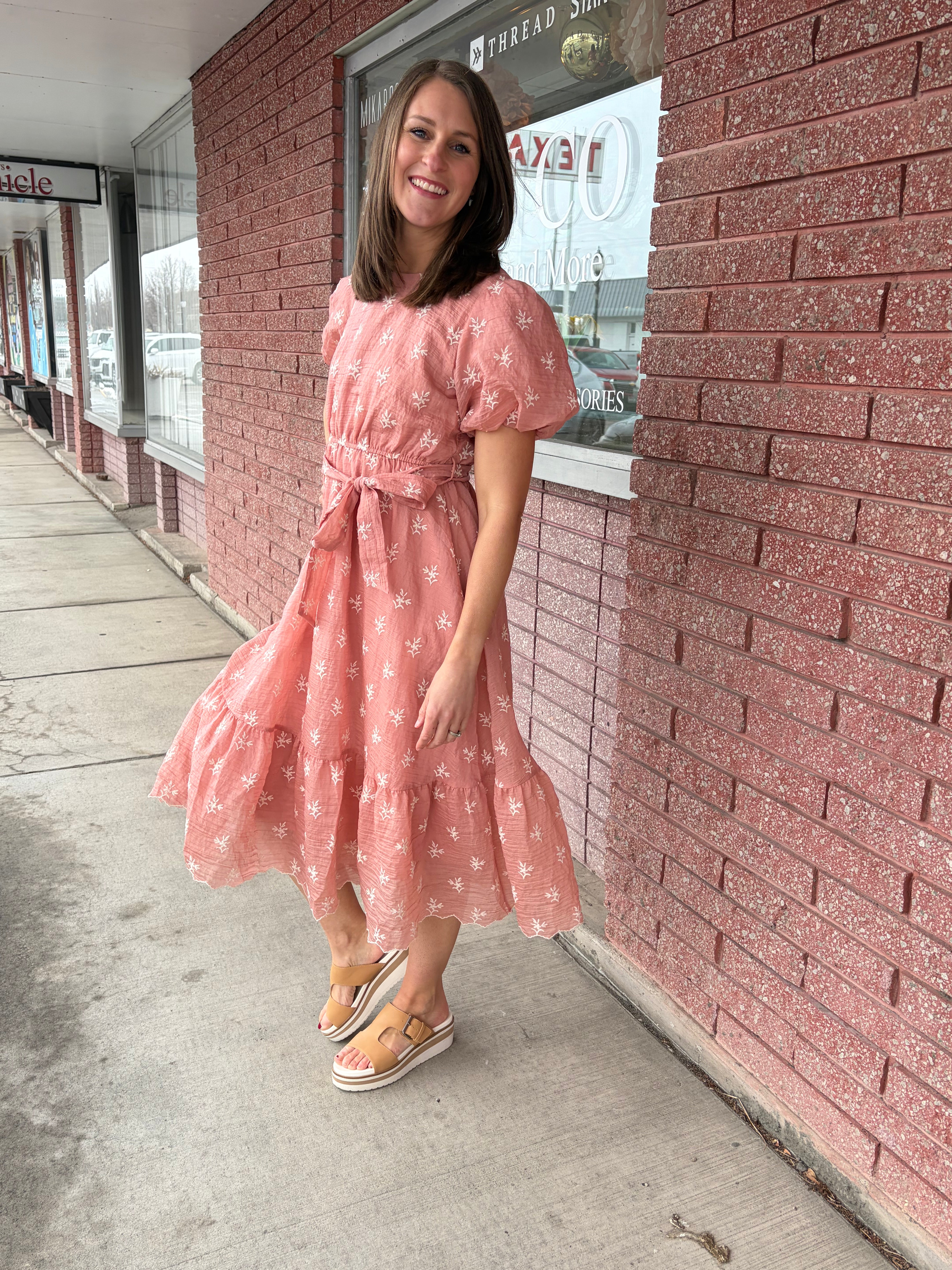 Blush Embroidered Chiffon Dress Midi Dress Tea n Rose- Tilden Co.