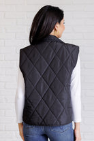 Layering Queen Quilted Puffer Vest in Black    Layers Ave Shops- Tilden Co.