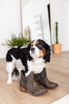 Nailed It Ankle Boot in Black 100 Western Boots Naughty Monkey- Tilden Co.