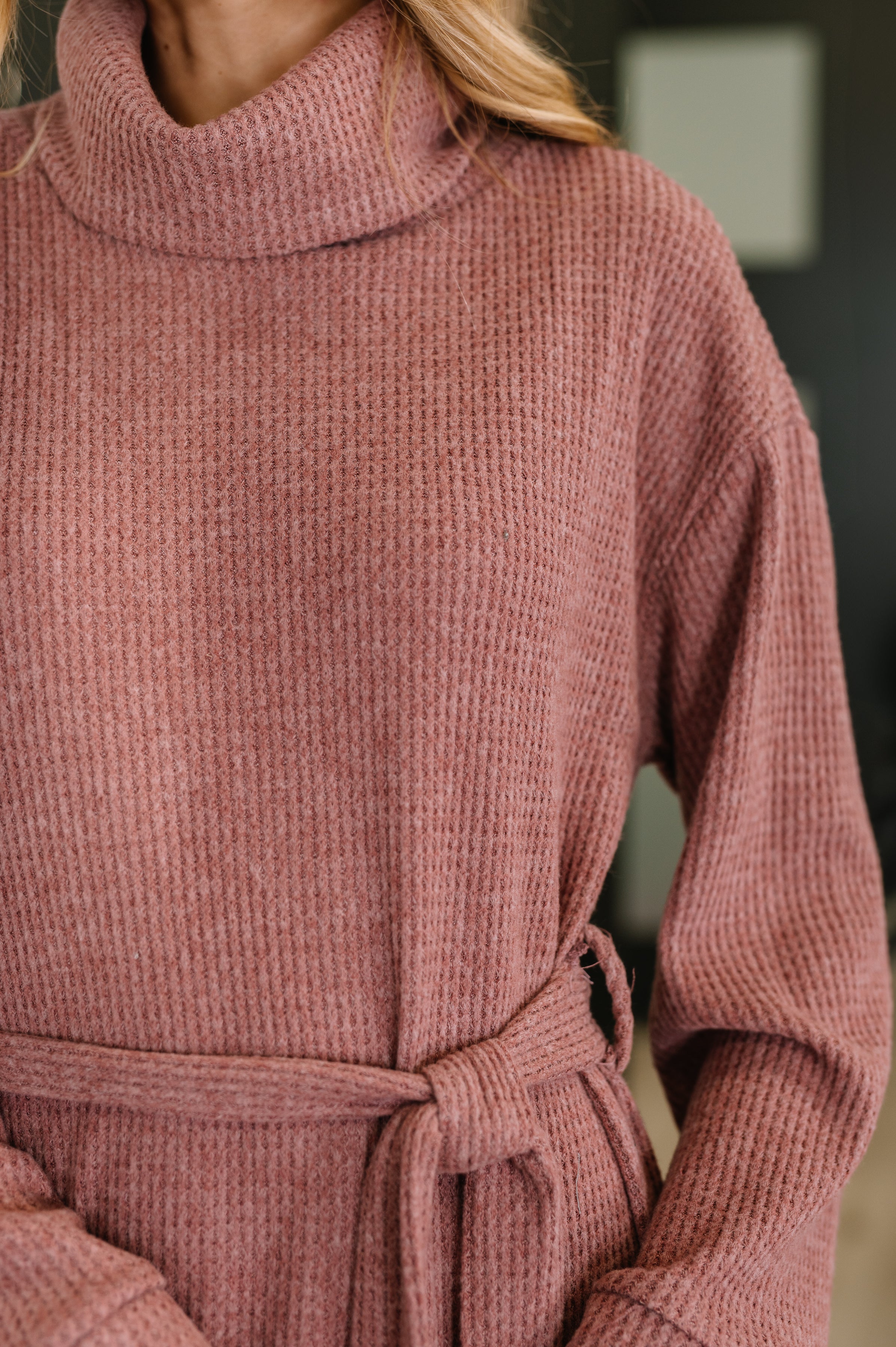 Travel Plush Knit Dress in Autumn Berry Womens Ave Shops- Tilden Co.