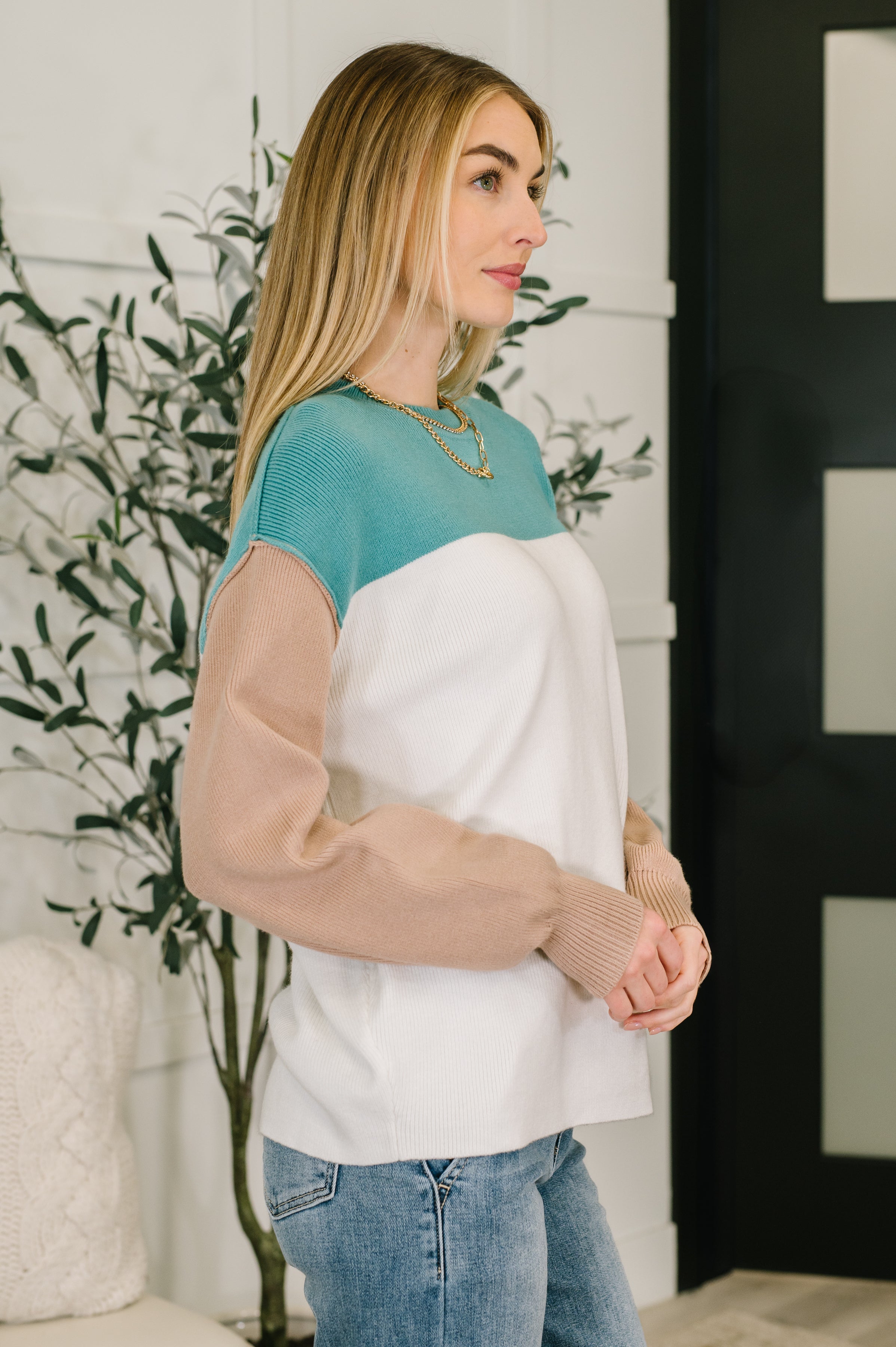 Walk in Central Park Ribbed Knit Color Block Pullover Womens Ave Shops- Tilden Co.