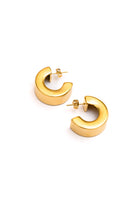 Worth Their Weight Chunky Hoops    Accessories Ave Shops- Tilden Co.