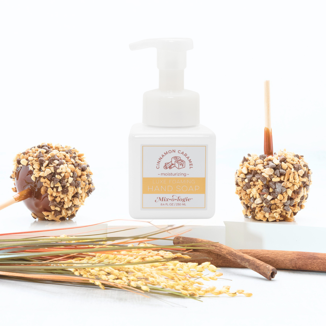 Cinnamon Caramel Foaming Hand Soap 250 mL Mixologie- Tilden Co.