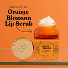 Lip Balm, Orange Blossom Poppy & Pout- Tilden Co.