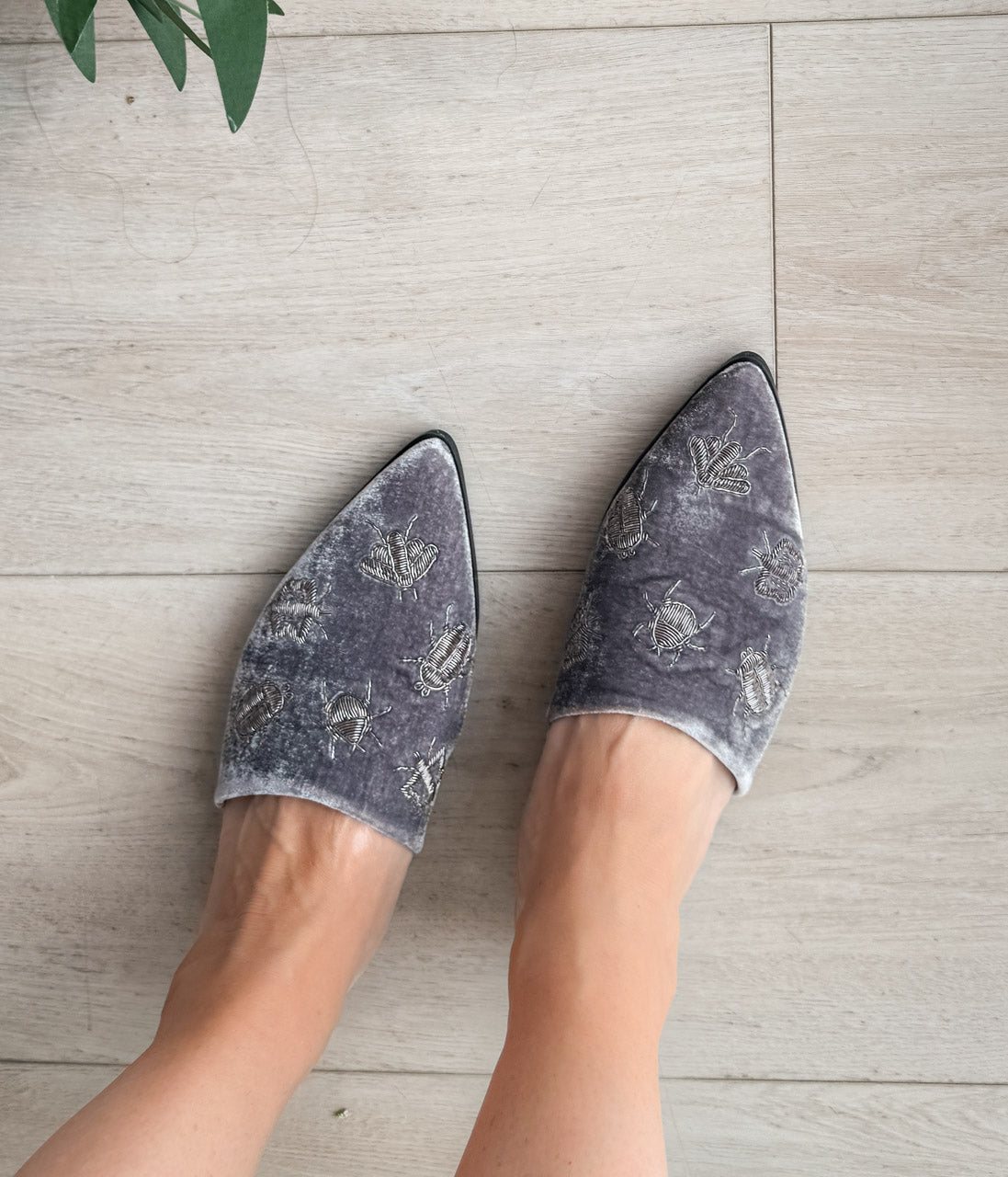 Dragonfly Velvet Flats in Grey 135 Flats Naughty Monkey- Tilden Co.