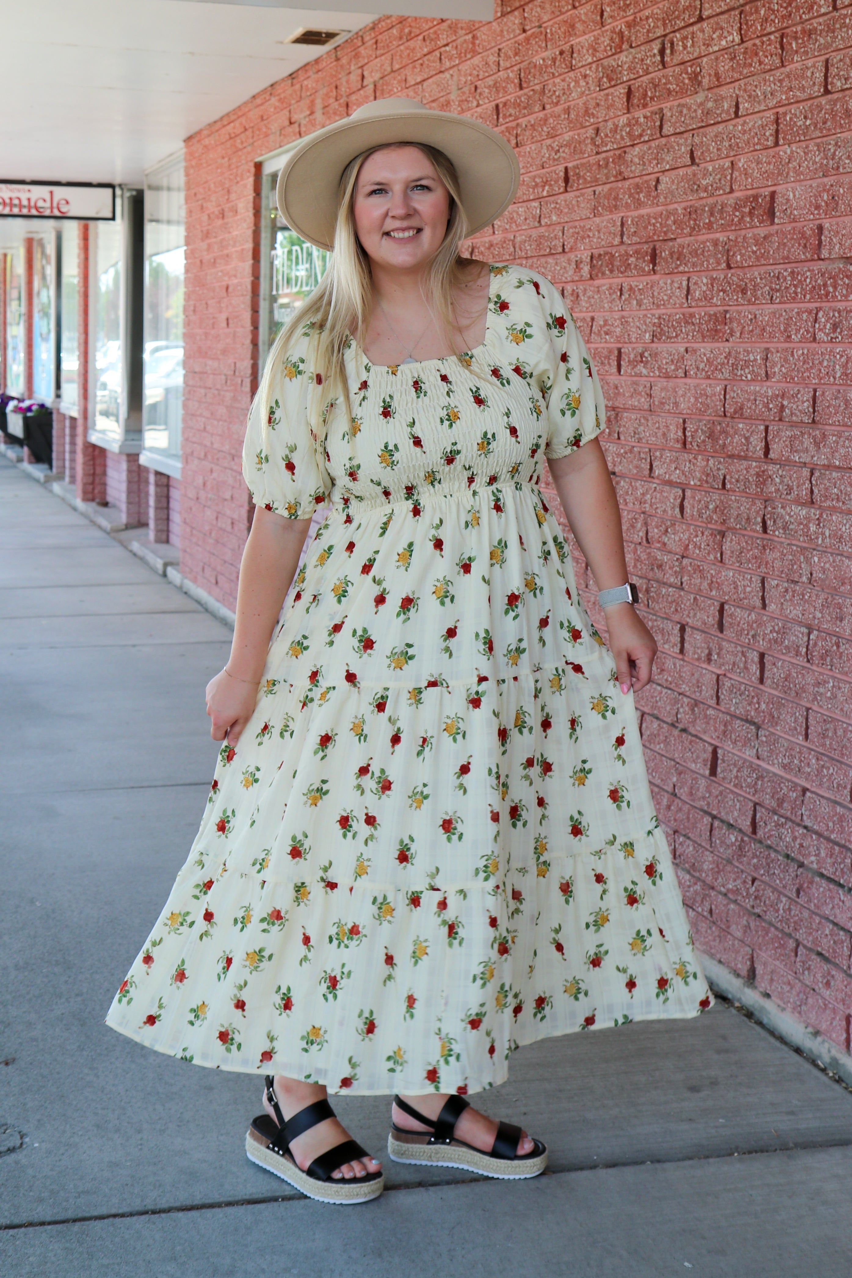 The Indy Dress in Wildflower Shirts & Tops Mikarose- Tilden Co.