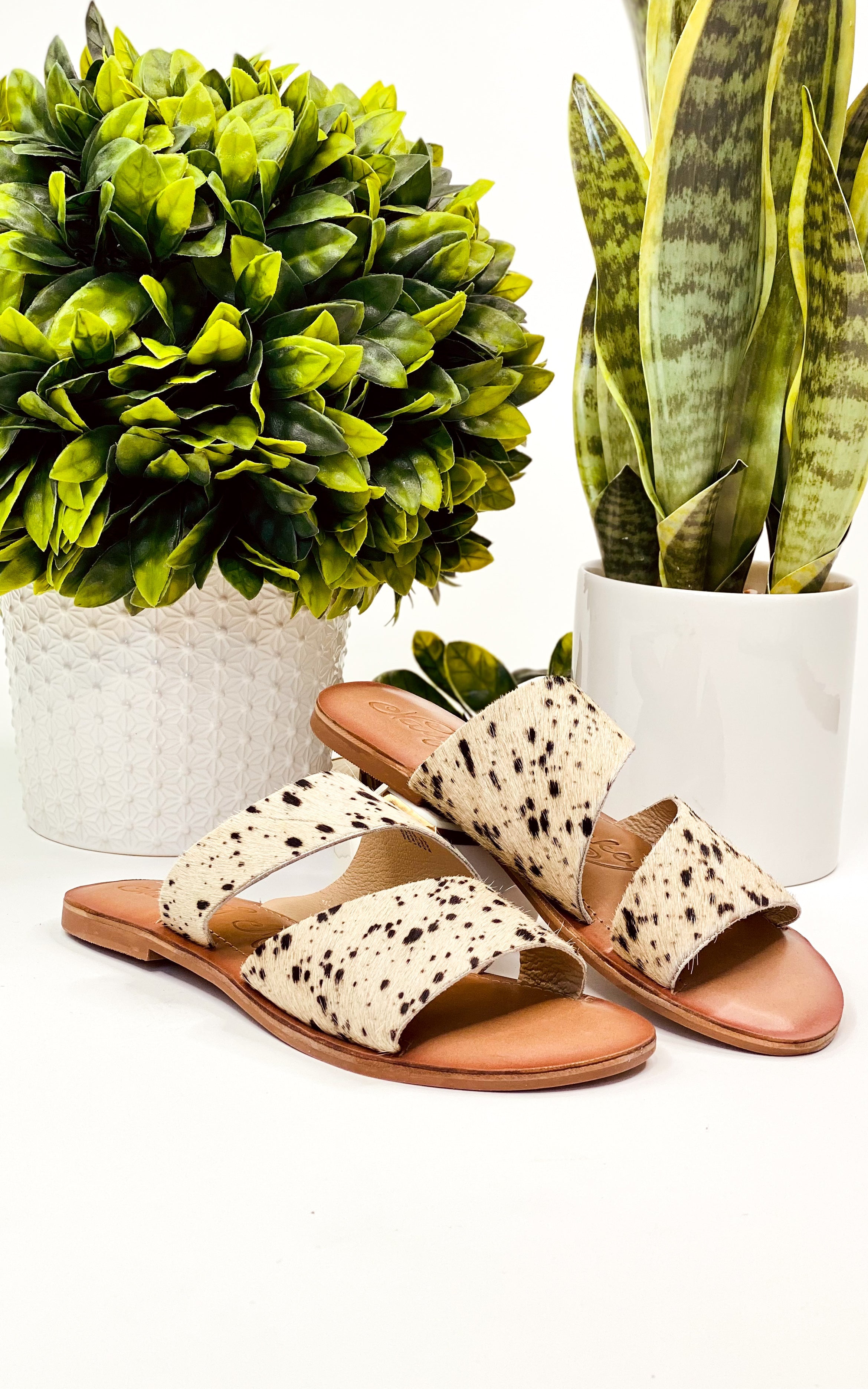 Spirited Sandals in Black and White 130 Sandals Naughty Monkey- Tilden Co.